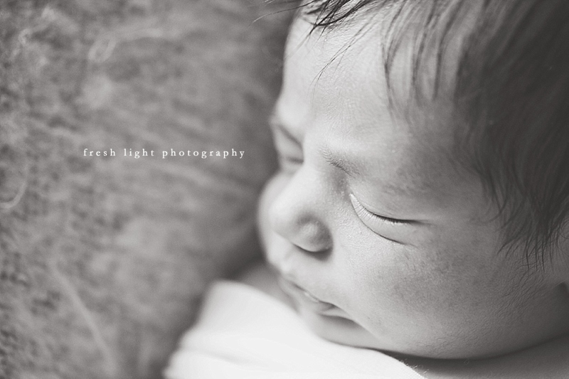 houston newborn photographer