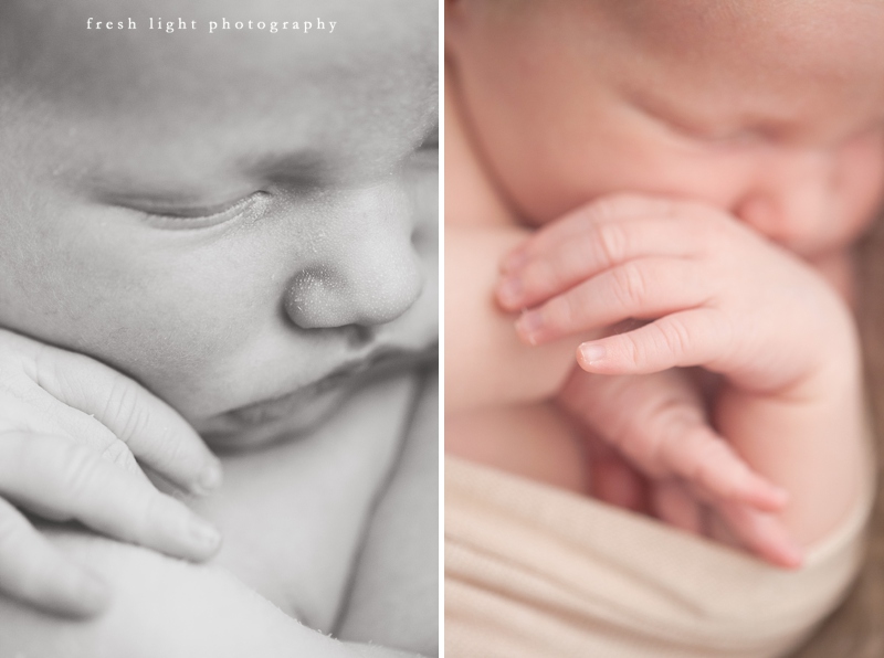 organic newborn photography houston