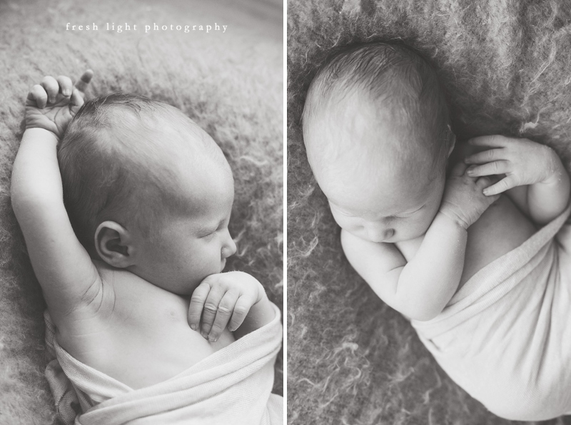 black and white newborn photography houston