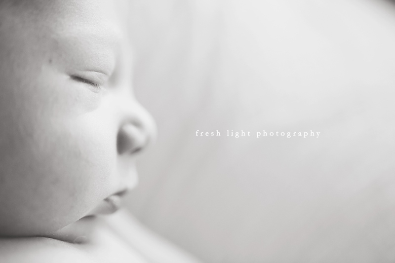 houston newborn baby photographer