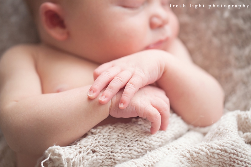 baby hands photograph