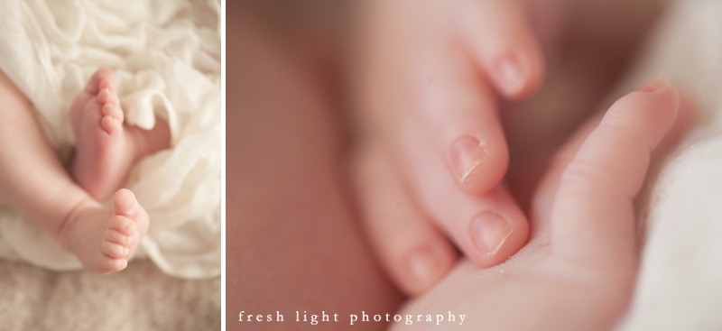 houston heights newborn photographer