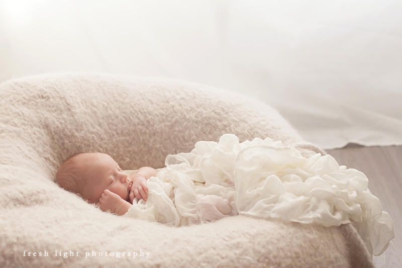 houston infant photographer