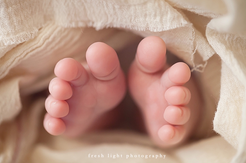 Fresh Light Photography | Houston Newborn Photographer