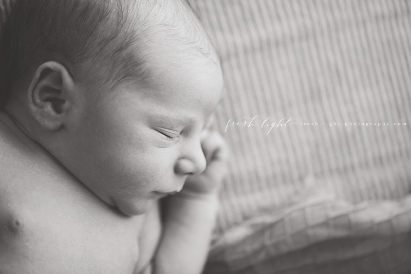 Fresh Light Photography - Houston Newborn Photographer