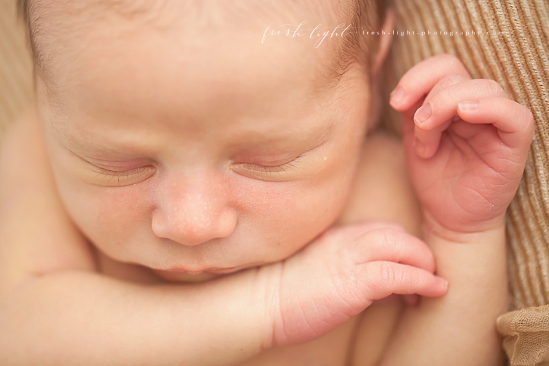 Fresh Light Photography - Houston Newborn Photographer