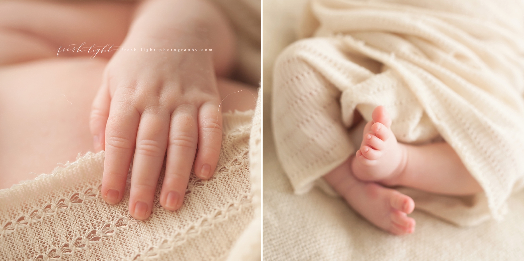 Houston Newborn Photographer | Fresh Light Photography12