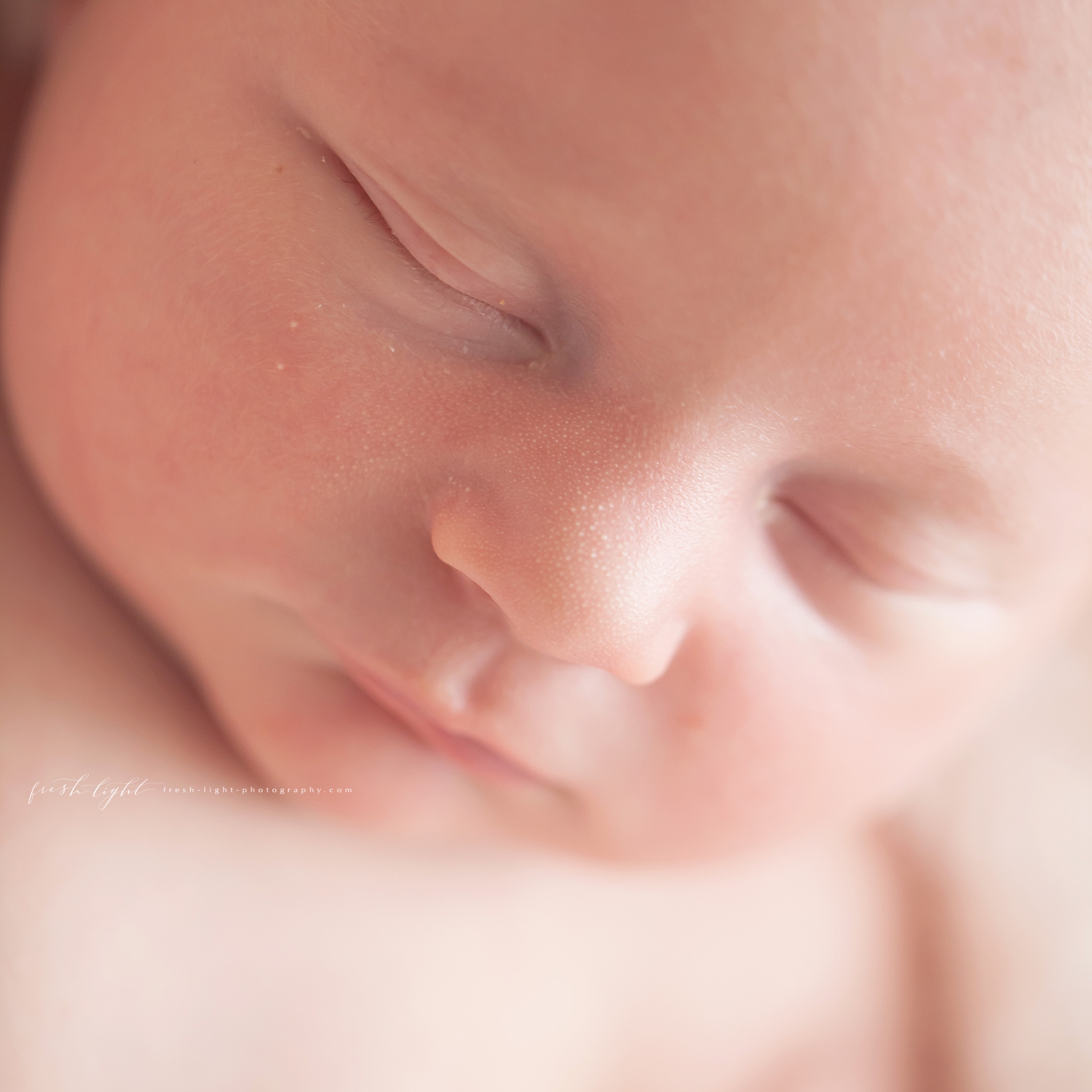 Houston Newborn Photographer | Fresh Light Photography13