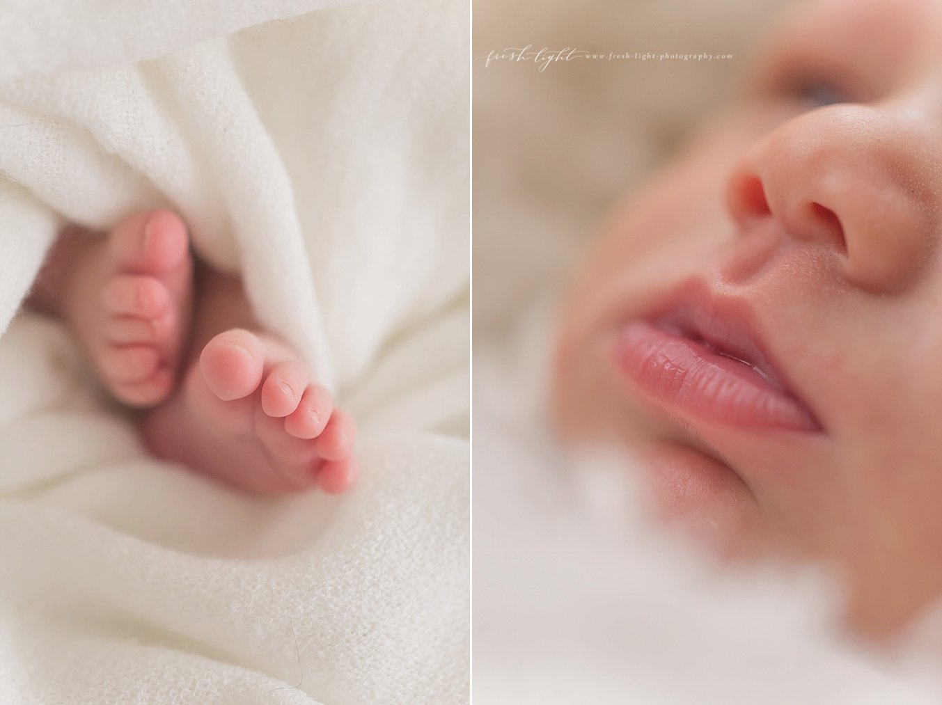Houston Newborn Photographer - Fresh Light Photography