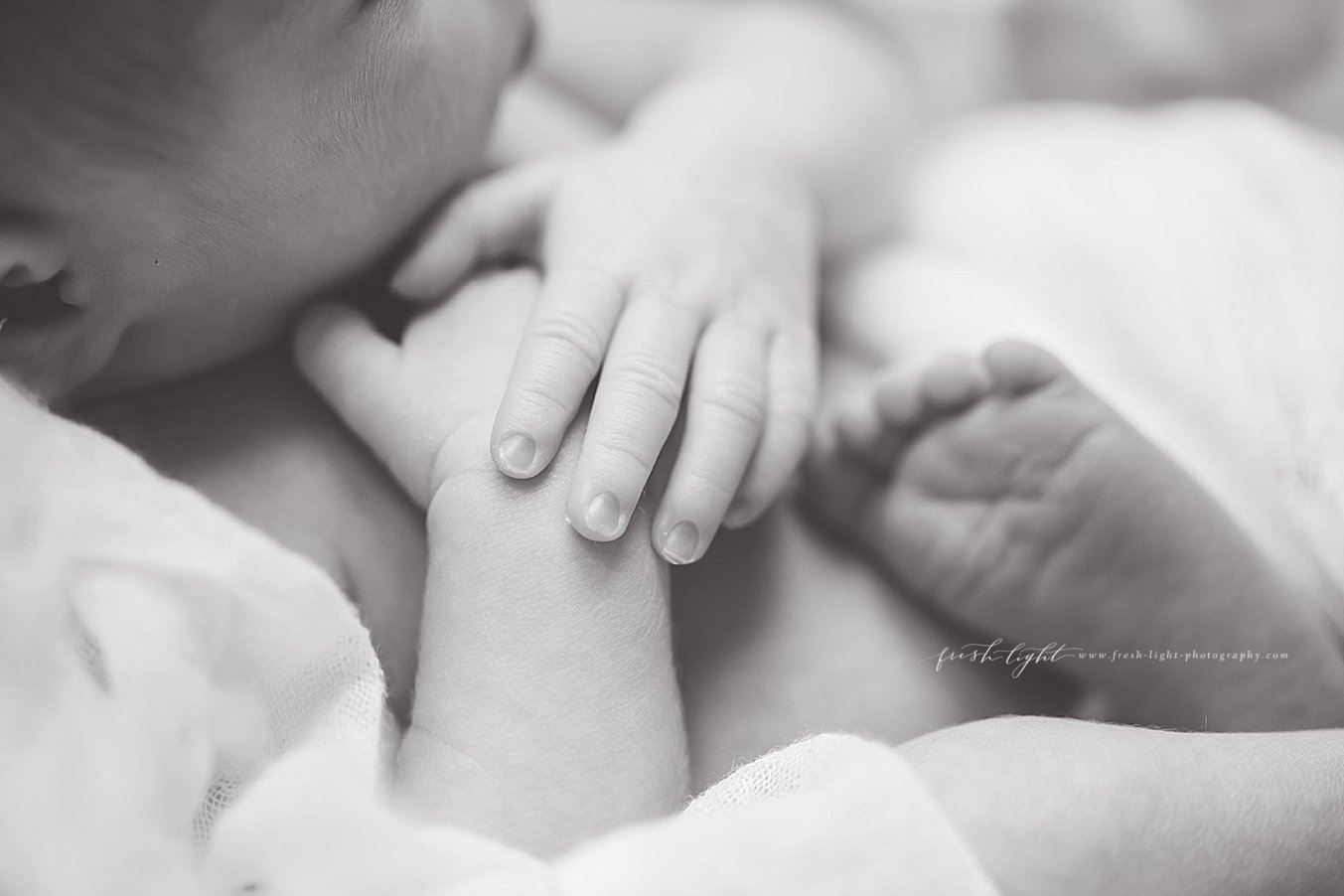 newborn-girl-detail-feet-hands