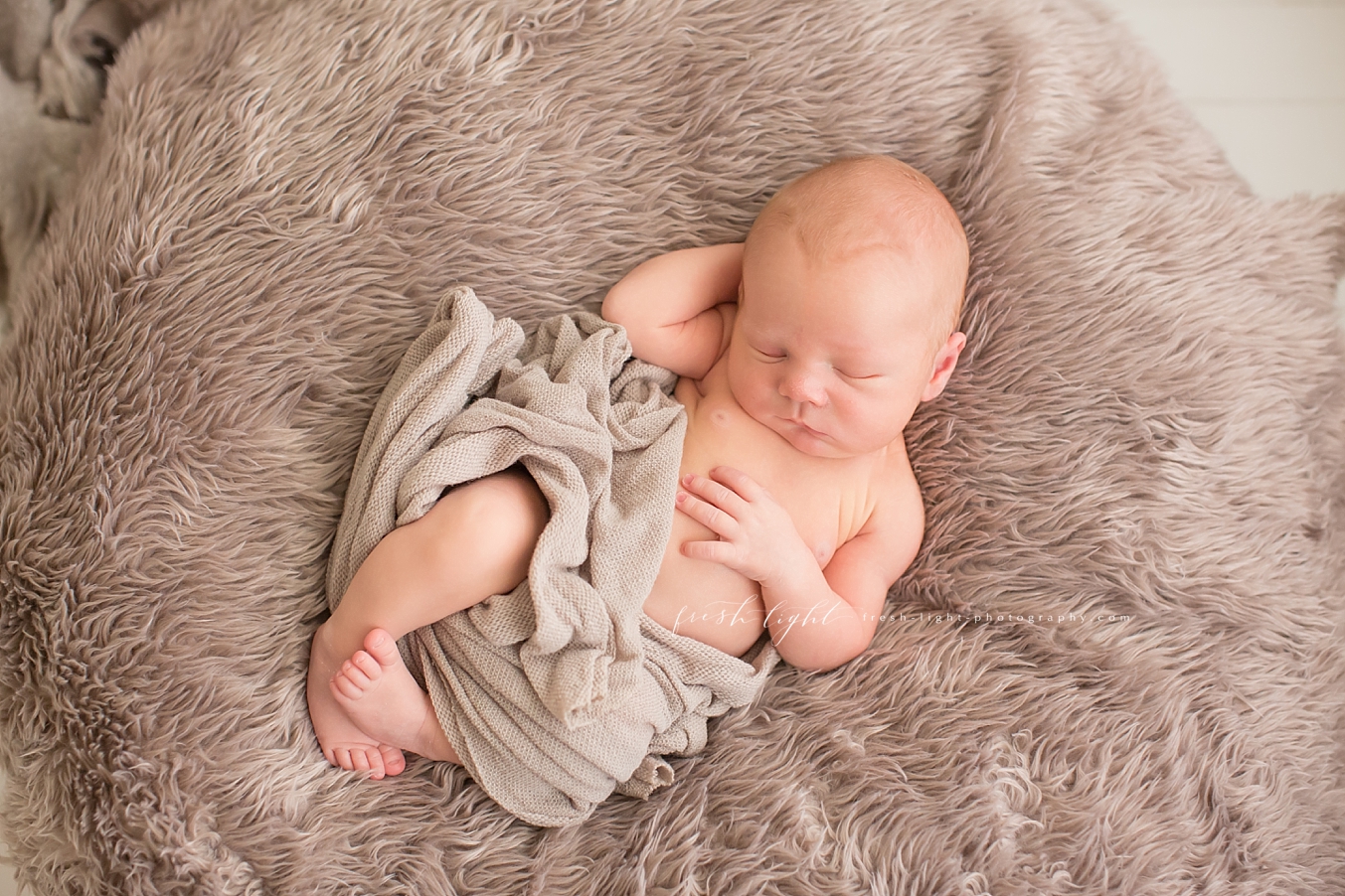 Houston Newborn Photographer | Fresh Light Photography