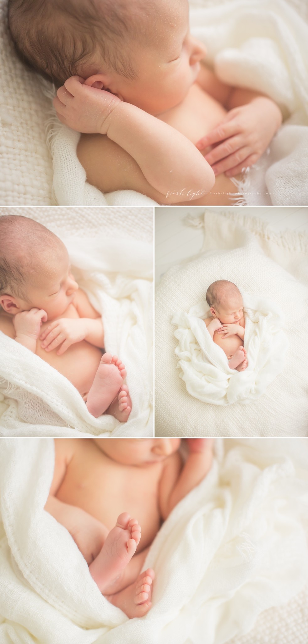 houston newborn photographer | fresh light photography