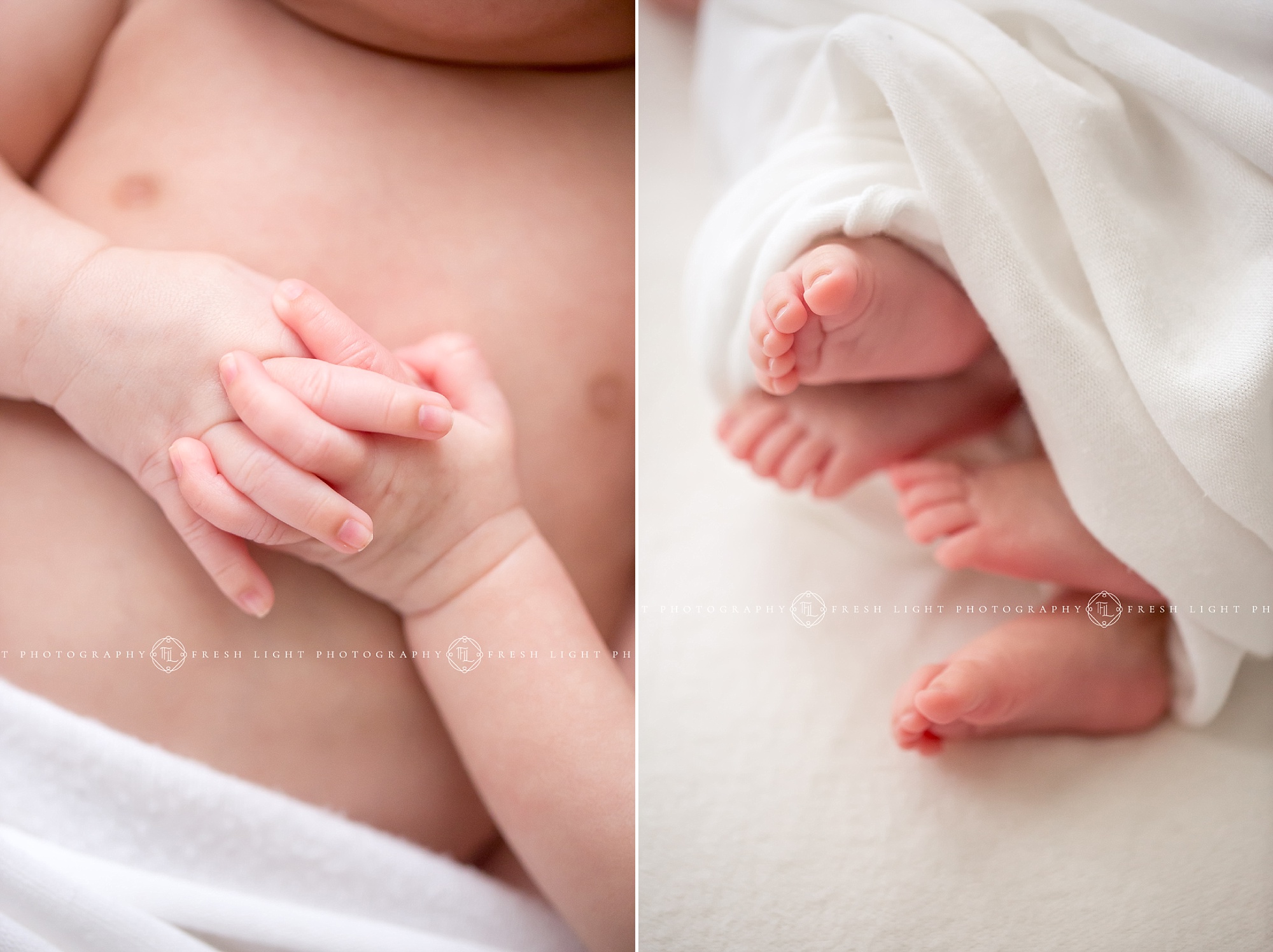 Newborn Twins hands and feet in Studio Portraits