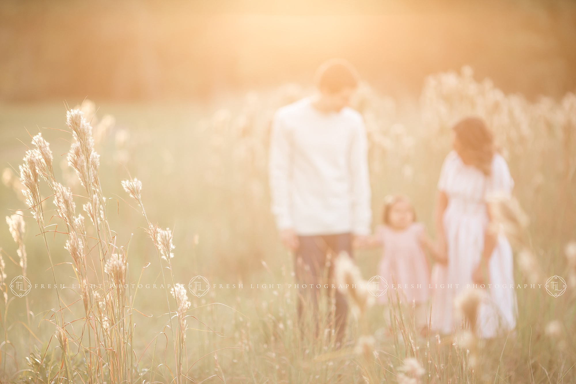 Family walking in field with flowers
