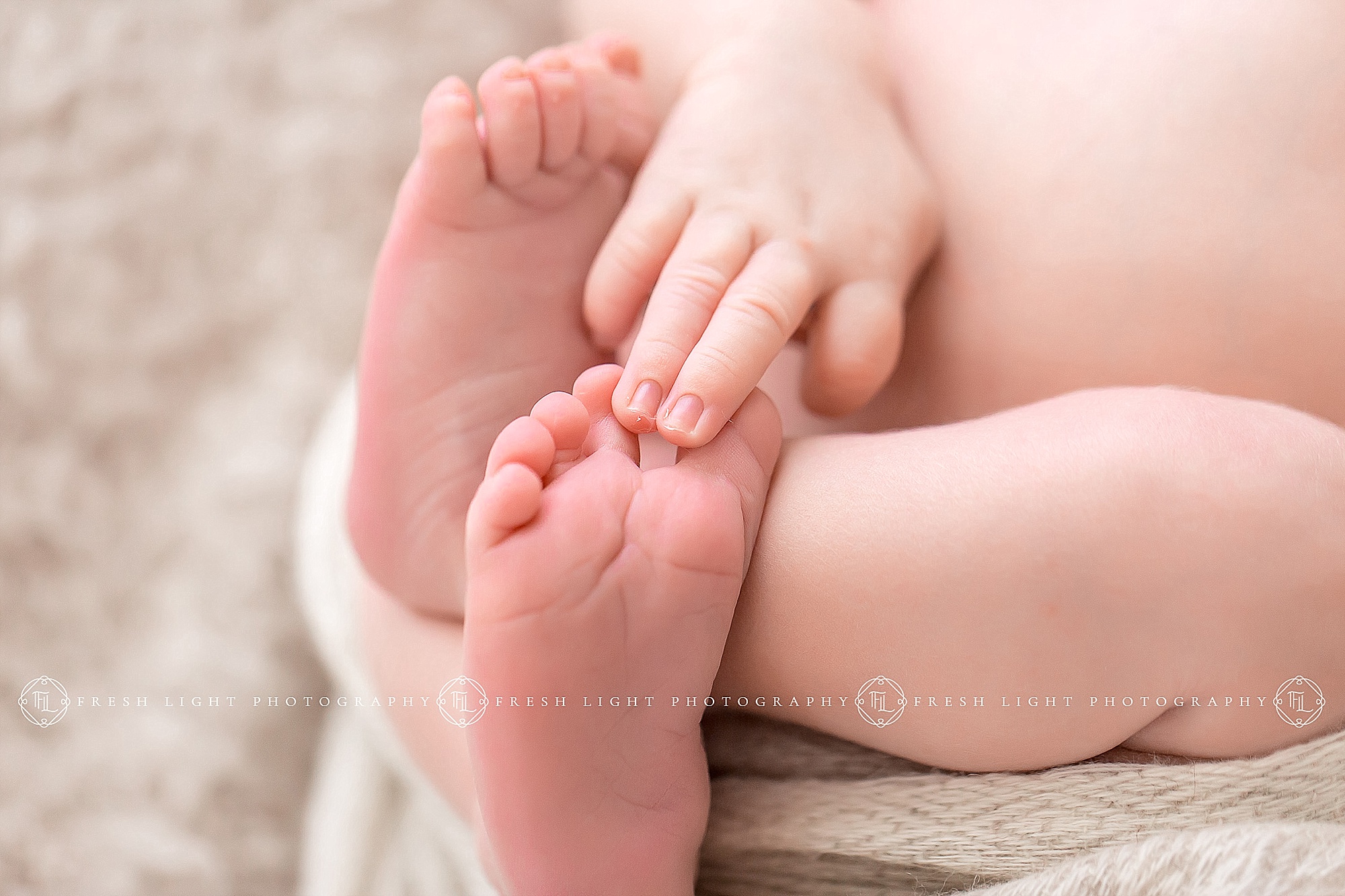 Newborn Hands and Feet