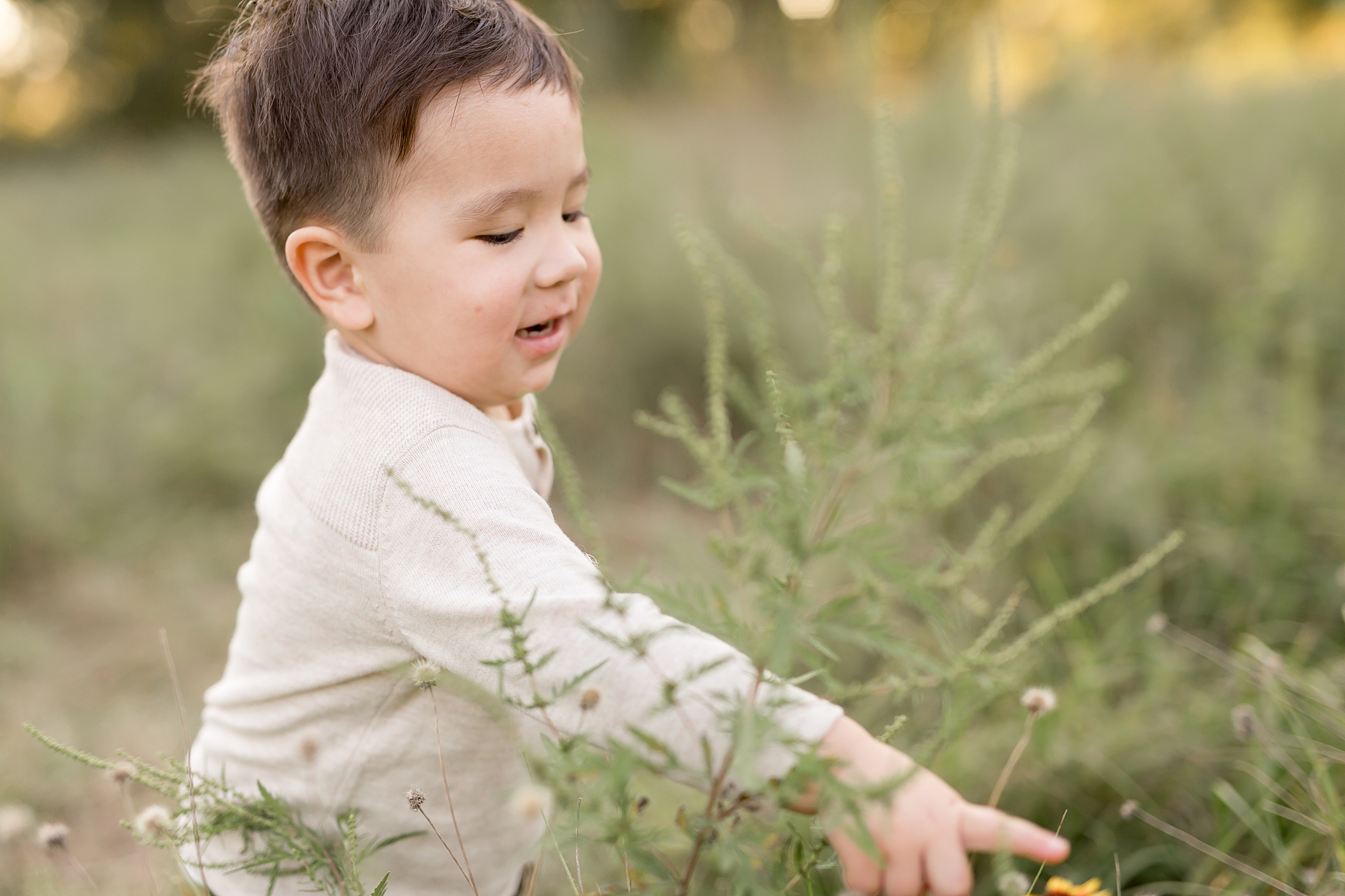 toddler picking flowers during family pictures