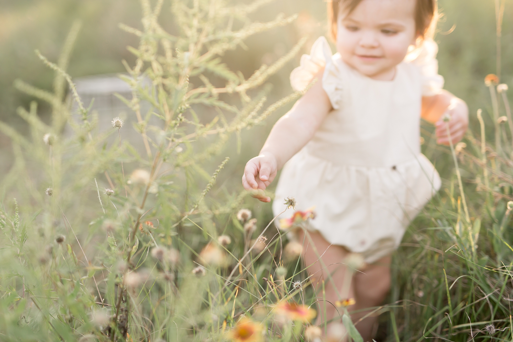baby reaching for a wildflower