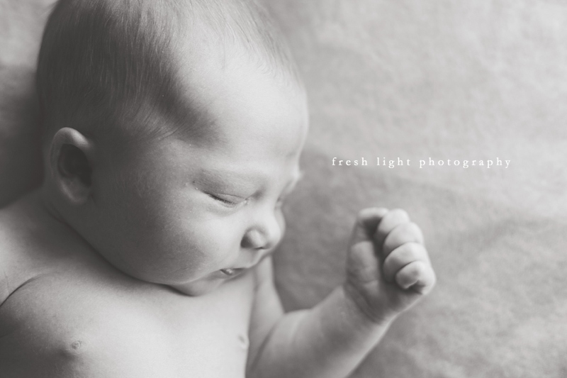 black and white newborn photographer houston
