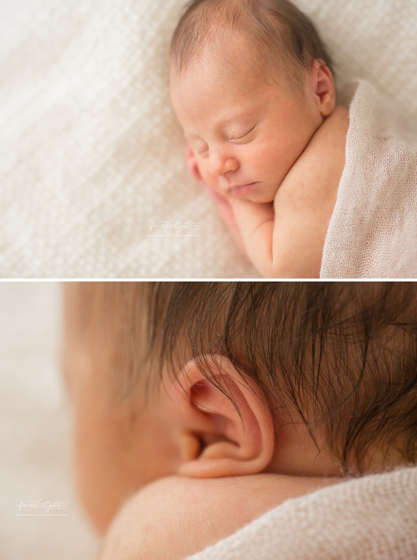 houston newborn photographer | fresh light photography