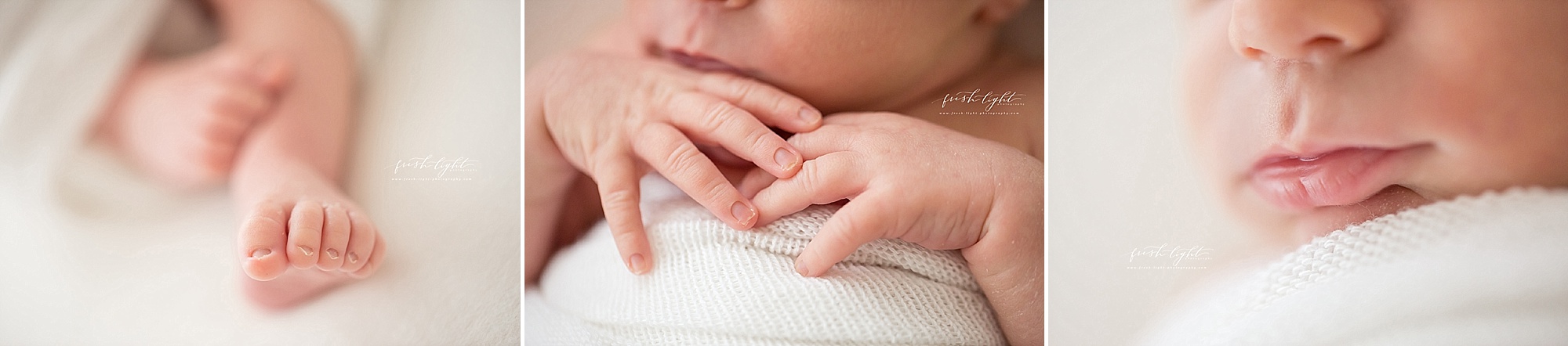 newborn macro photographs 