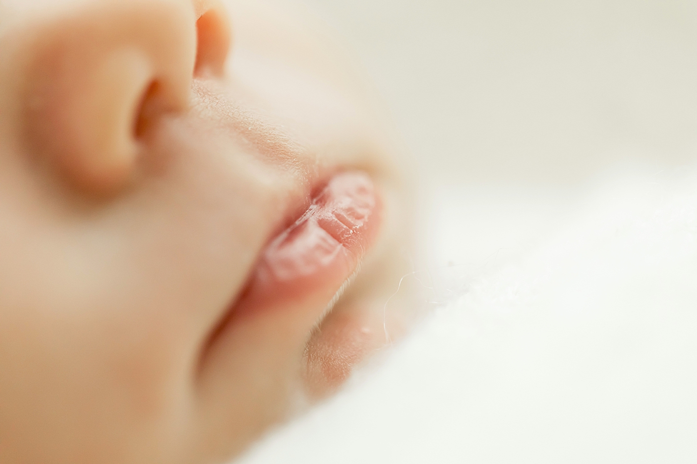 Details of newborn baby lips. Photos by Fresh Light Photography.