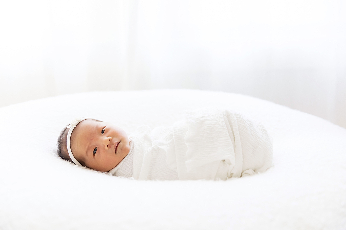 Backlit newborn photo in studio in Houston, TX. Photos by Fresh Light Photography.