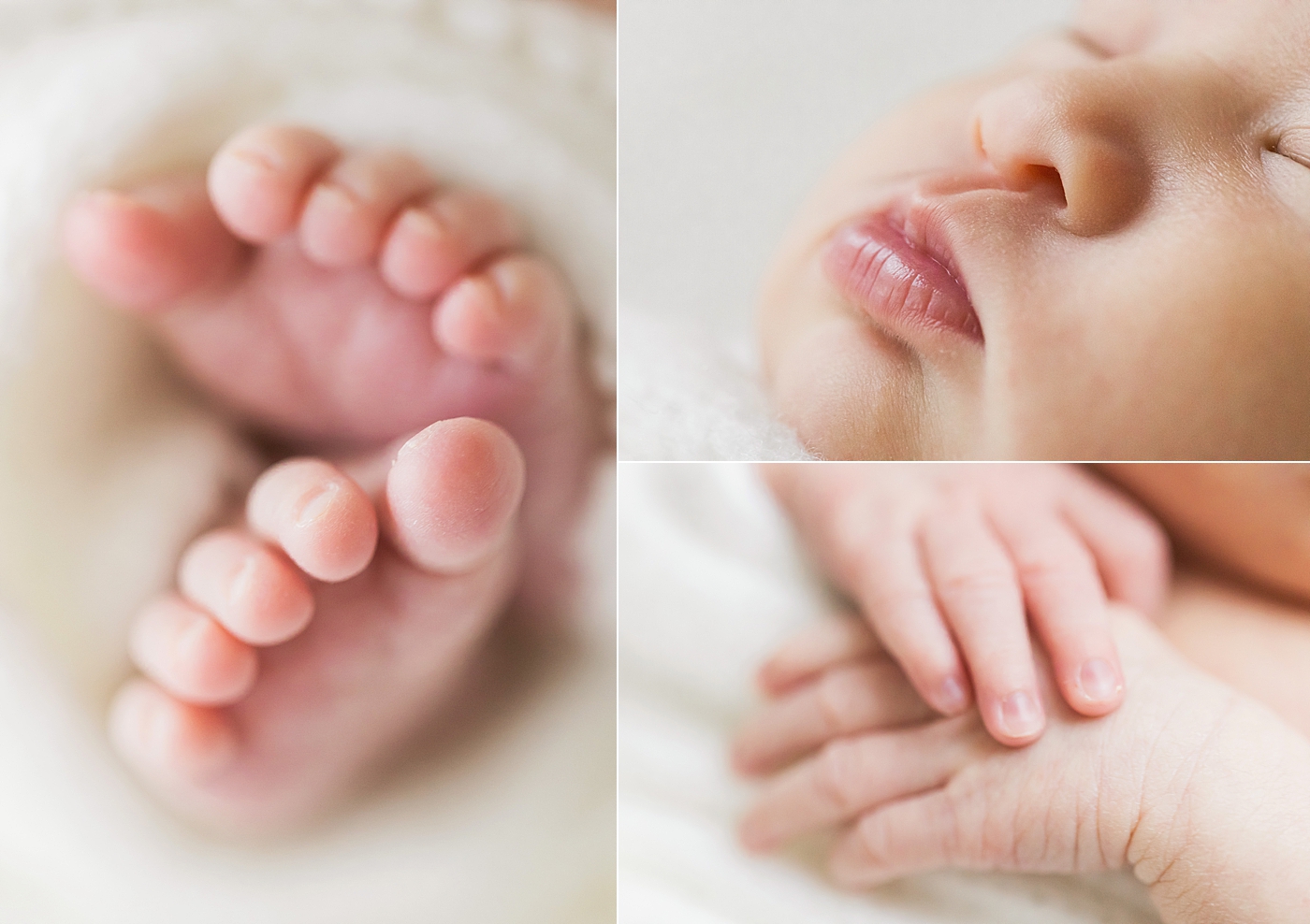 Macro newborn baby details. Photo by Fresh Light Photography.