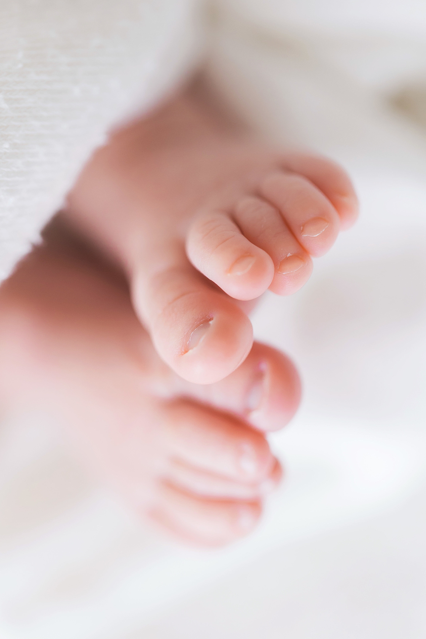 Newborn baby toes. Photo by Fresh Light Photography.