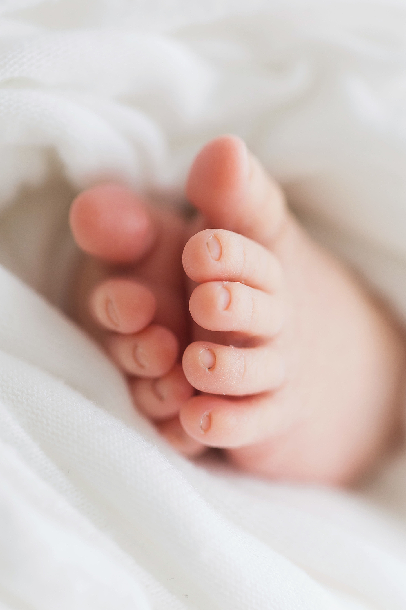 Details of newborn toes. Photo by Fresh Light Photography.