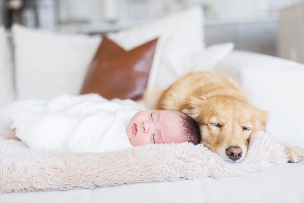 Whimsical and light-filled in-home newborn photography, immortalizing a precious moment of Houston family with their newborn sleeping with their dog.